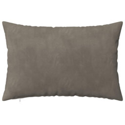 Light Grey Cushion