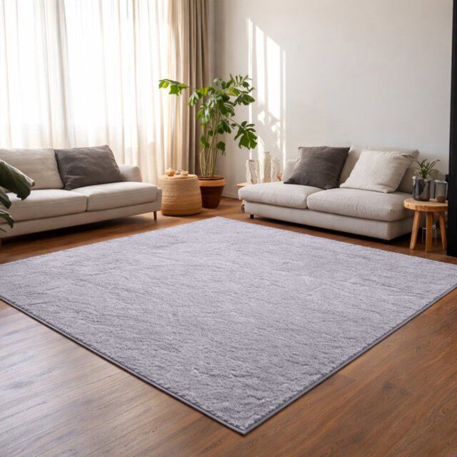 Soft & Fluffy Indoor Living Room Large Area Rug