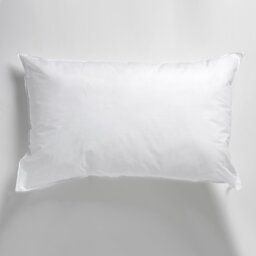 Darmont Rectangular Cushion Pad