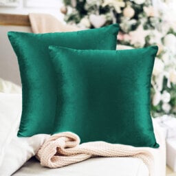 Luxurious Velvet Cushion Covers for Sofa Or Bed (Set Of 2)