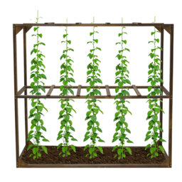 115cm H x 118.7cm W Wood Lattice Panel Trellis