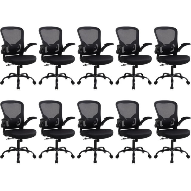 Ergonomic Home Office Chair - with Lumbar Support and Foldable Armrests, Height Adjustable, Black