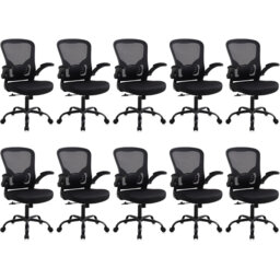 Ergonomic Home Office Chair - with Lumbar Support and Foldable Armrests, Height Adjustable, Black