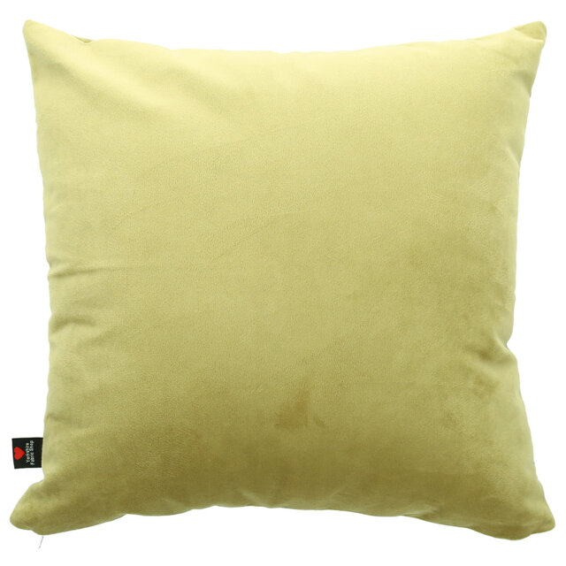 Alondra Velvet Cushion with filling