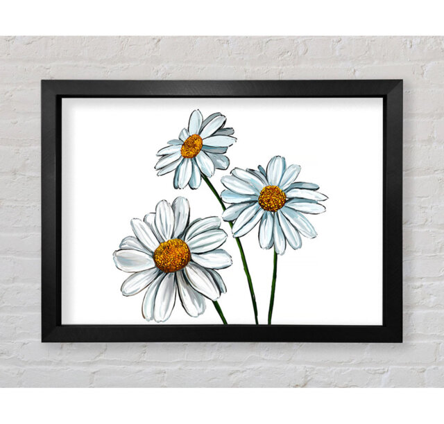 White Daisy Trio Framed Print