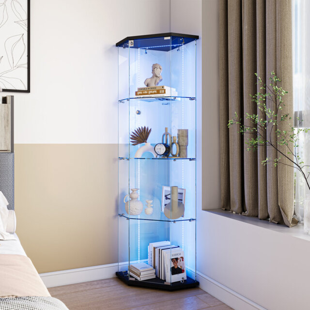 Display Case