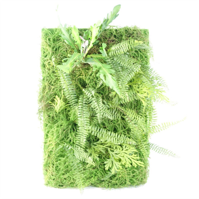 Artificial Green Wall Fern Faux Plant Display