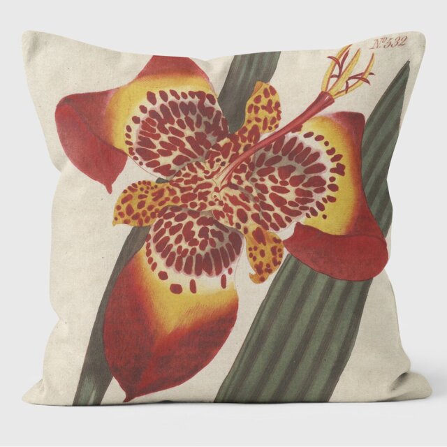 Mexican Iris - Botanical Cushion