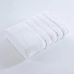 Face Towels 10Pc Silver
