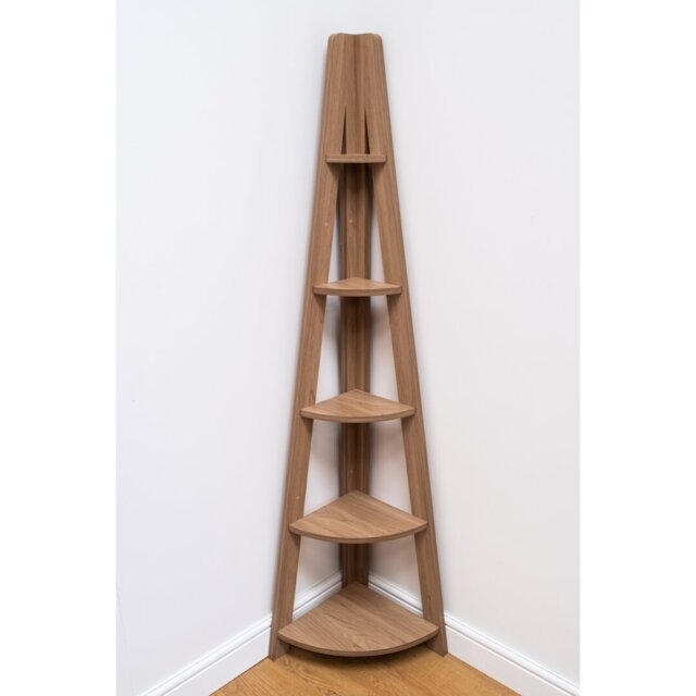 Arelious Corner Bookcase