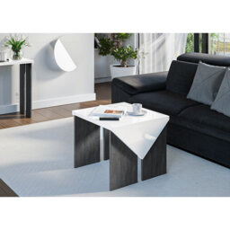Trip Solid Coffee Table with Storage