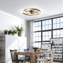 CeilingÂ Fan With Light