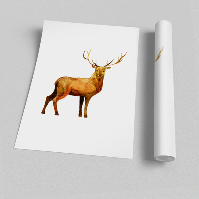 Deer Delight - Graphic Art Print on Paper