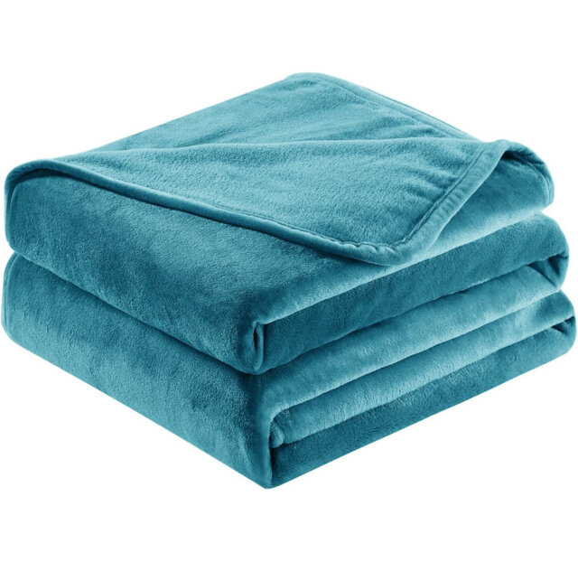 Abiram Plain Weave / Muslin Throw Blanket