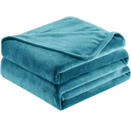 Abiram Plain Weave / Muslin Throw Blanket