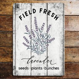 Handmade Plants & Flowers Wall Decor on Metal