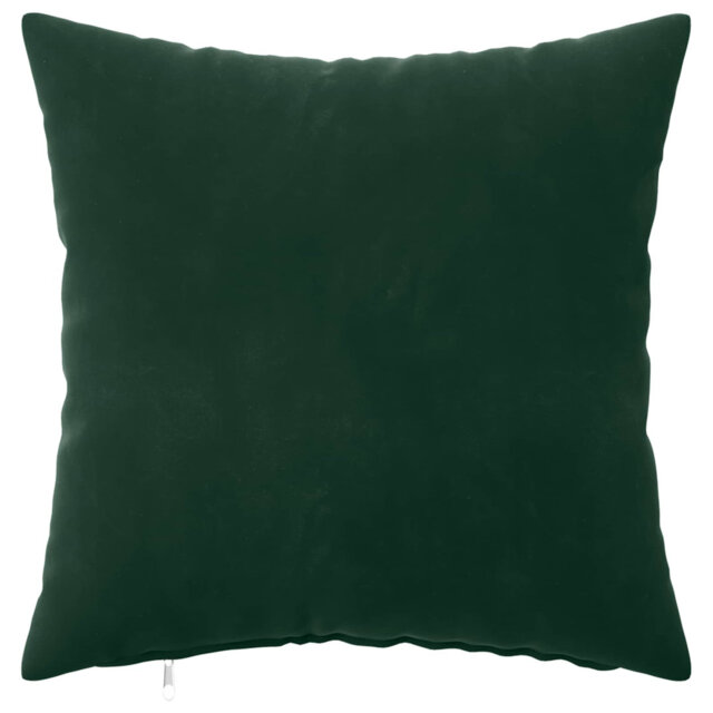 Cushion