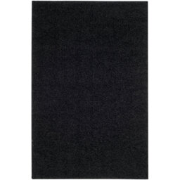 Bethsabee Looped/Hooked Black Rug