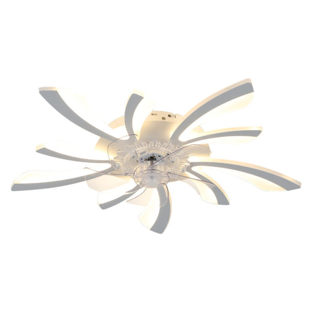 Indoor Creative Ceiling Fan with LED Lights