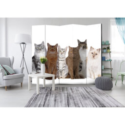 225cm W x 172cm H 5 - Panel Wood Folding Room Divider