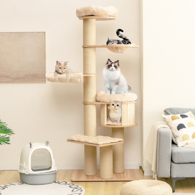 Harrisonville Cat Tree