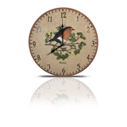 Tabatiere 30cm Robin Indoor and Outdoor  Wall Clock
