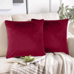 Luxurious Plain Velvet Cushion Covers (Set Of 2)