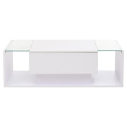 Coffee Table with Storage