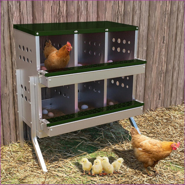 6 Compartment Chicken Nesting Box - Heavy Duty Metal Coop with Roll Away Egg Collection, Perch, Lid Cover for Egg Protection - Wall Mount/Free Standin