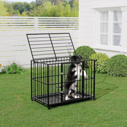 Dog House