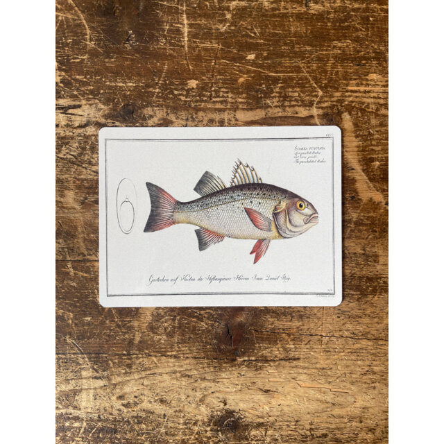 Bass Fish Metal Vintage Wall DÃ©cor