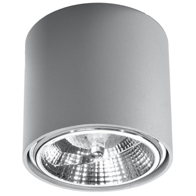 Scotty Flush Mount