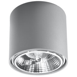 Scotty Flush Mount