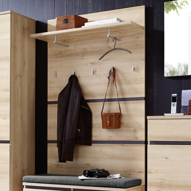Derron Plastic Wall 4 - Hook Wall Mounted Coat Rack