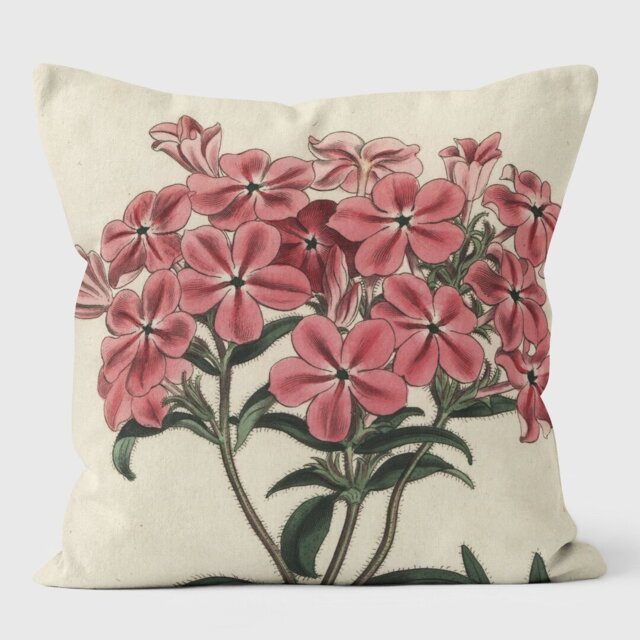 Frasers Hairy Phlox Cushion with Filling