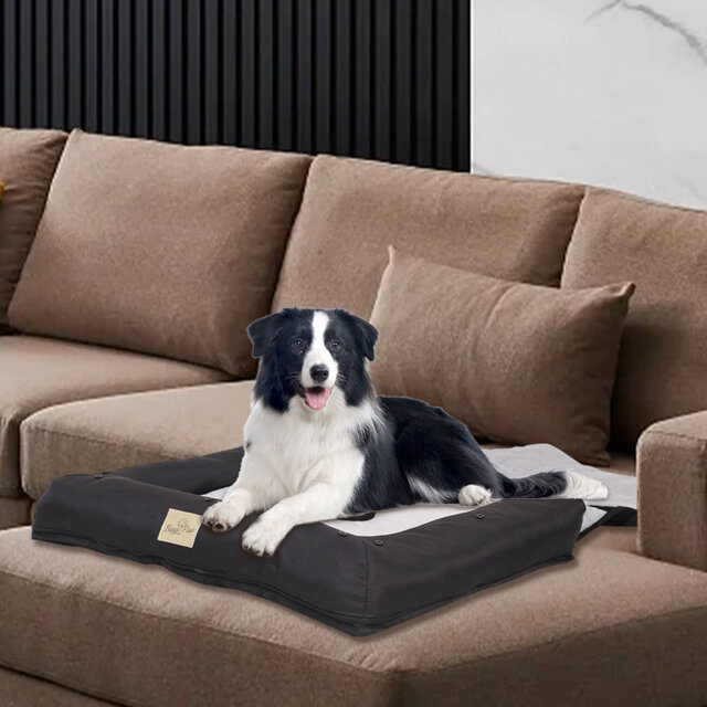 Pet Bed