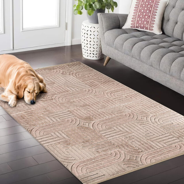 Soft Area Rug for Bedroom Floor Mats Medium Pile Entryway Rugs Textured Polypropylene Carpet TR002