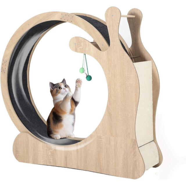 Scratching Post