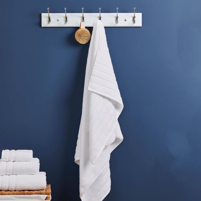 Asaph Wall 8 - Hook Wall Mounted Coat Rack