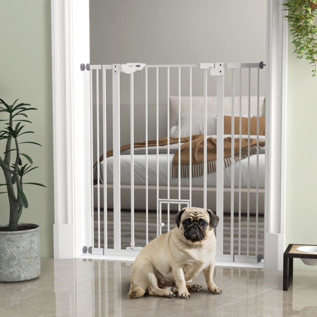 Pet Gate