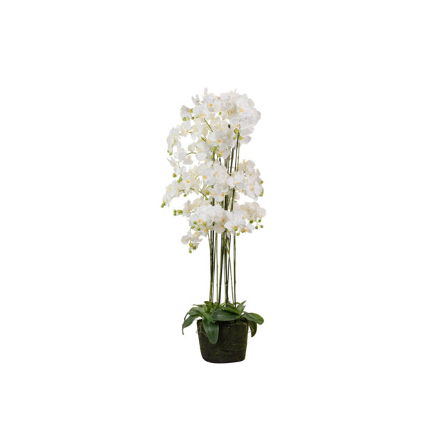 155cm Faux Flowering Plant in Pot