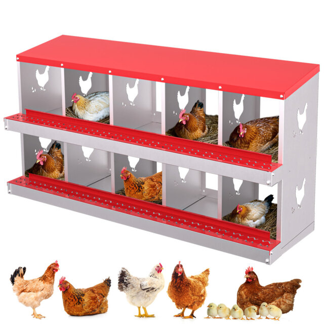 Chicken Coop