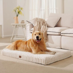 Pet Bed