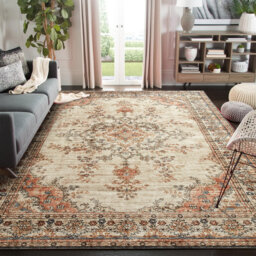 Aminu Indoor / Outdoor Area Rug