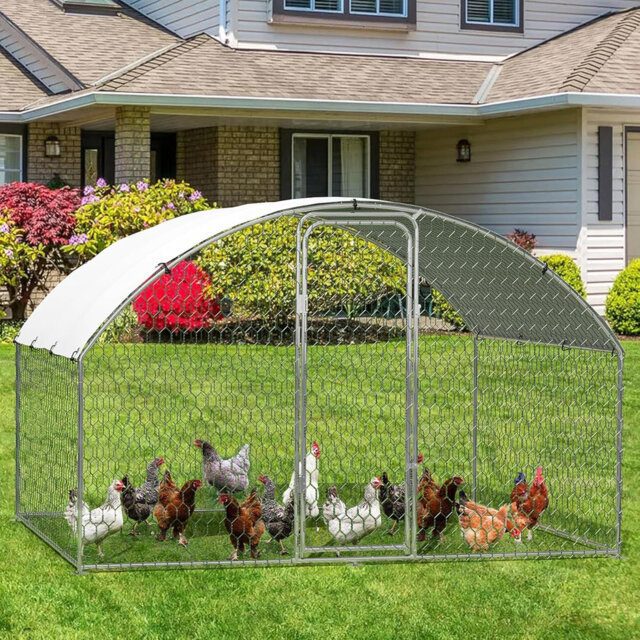 Chicken Run