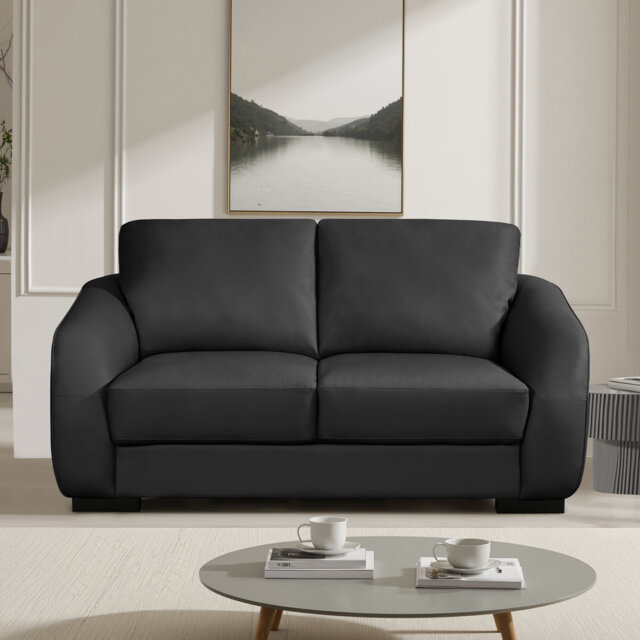 Aleyha Compact Leather Sofa