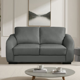 Aleyha Compact Leather Sofa