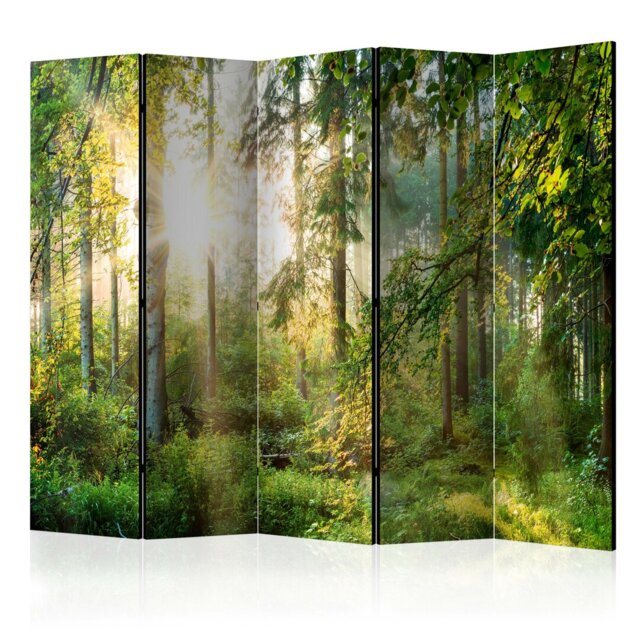 Segula 225cm W x 172cm H 5 - Panel Solid Wood Folding Room Divider