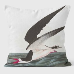 Black Skimmer Shearwater Birds of America Cushions