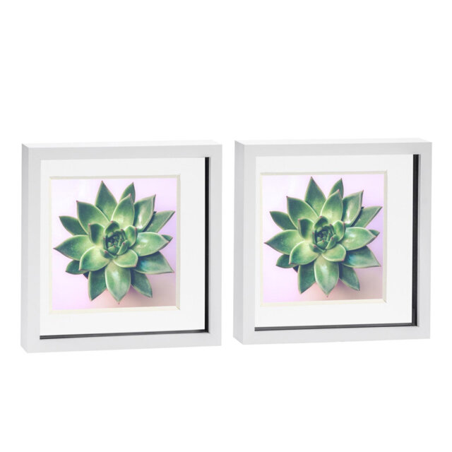 Bevelled Shadow Box Picture Frame with Mat